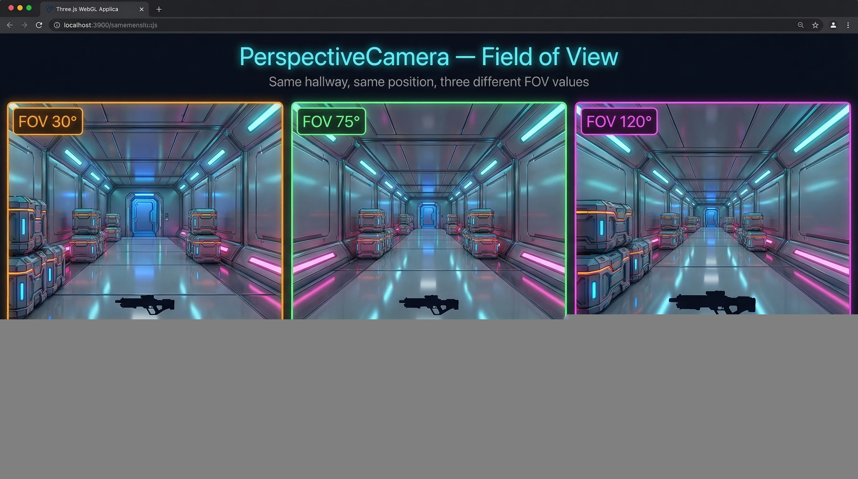 PerspectiveCamera FOV