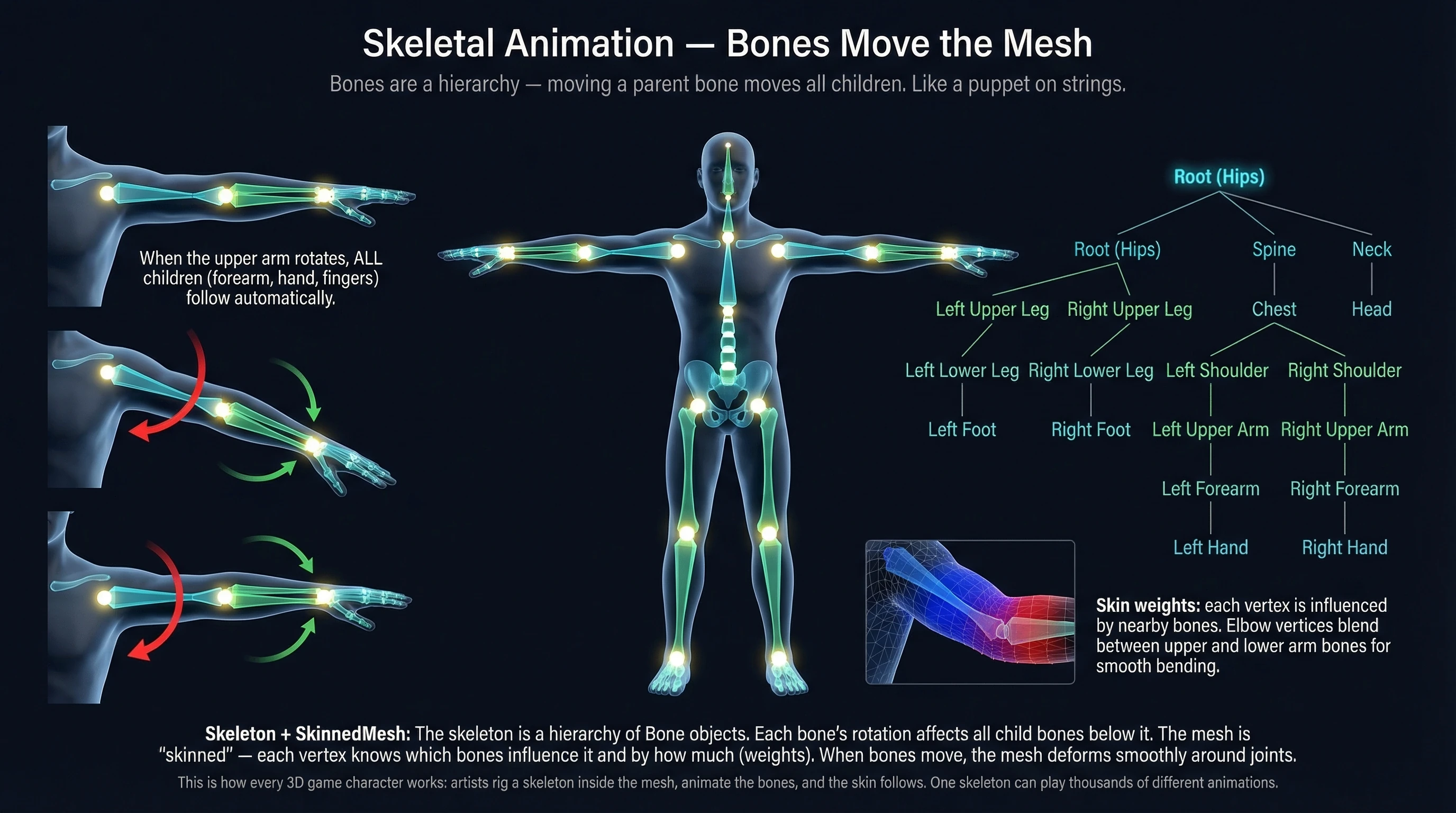 Skeletal Animation